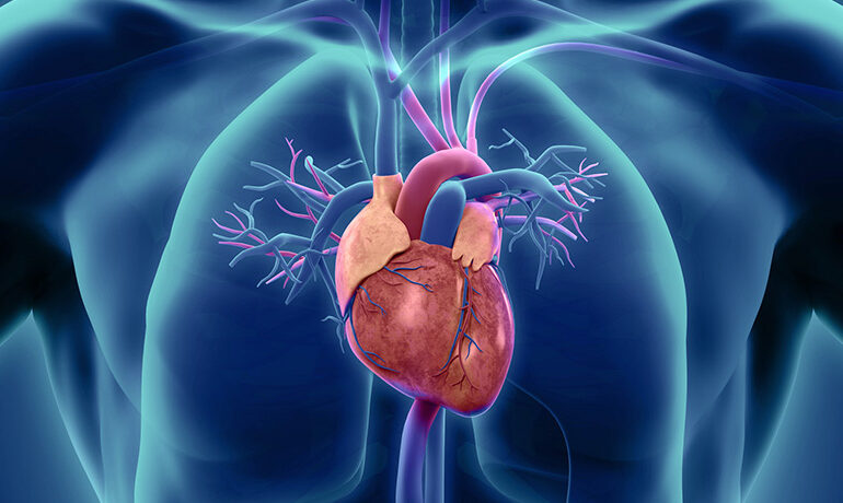 Best Cardiologist in Faridabad explains What is a Complete Heart Block