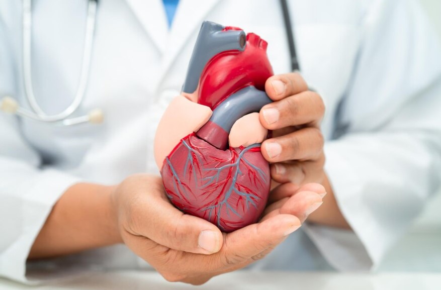 Cardiovascular Diseases - A Comprehensive Guide